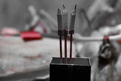 Fami通新一周销量榜 《皮克敏4》六连冠